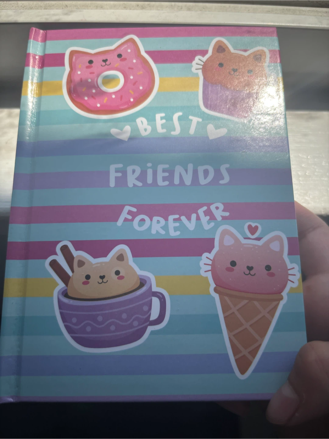 Votum Best Friends Forever Journal