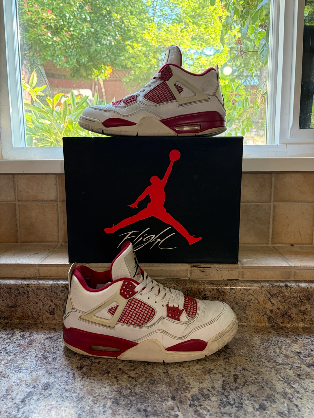 Air Jordan 4 "Alternate"