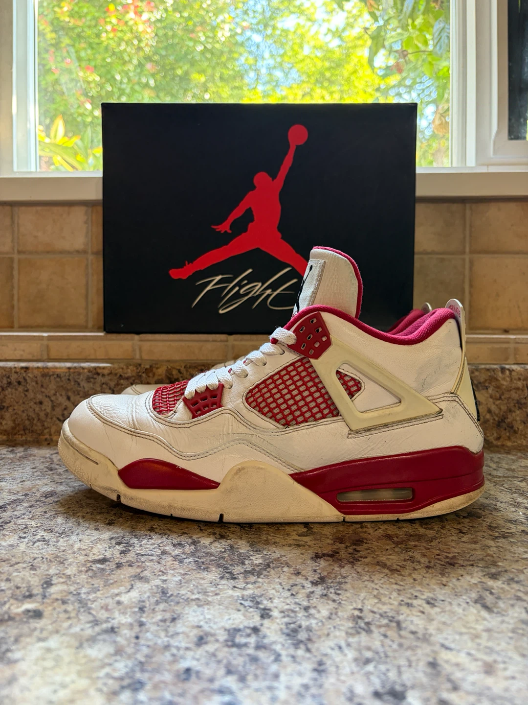 Air Jordan 4 "Alternate" - photo 3