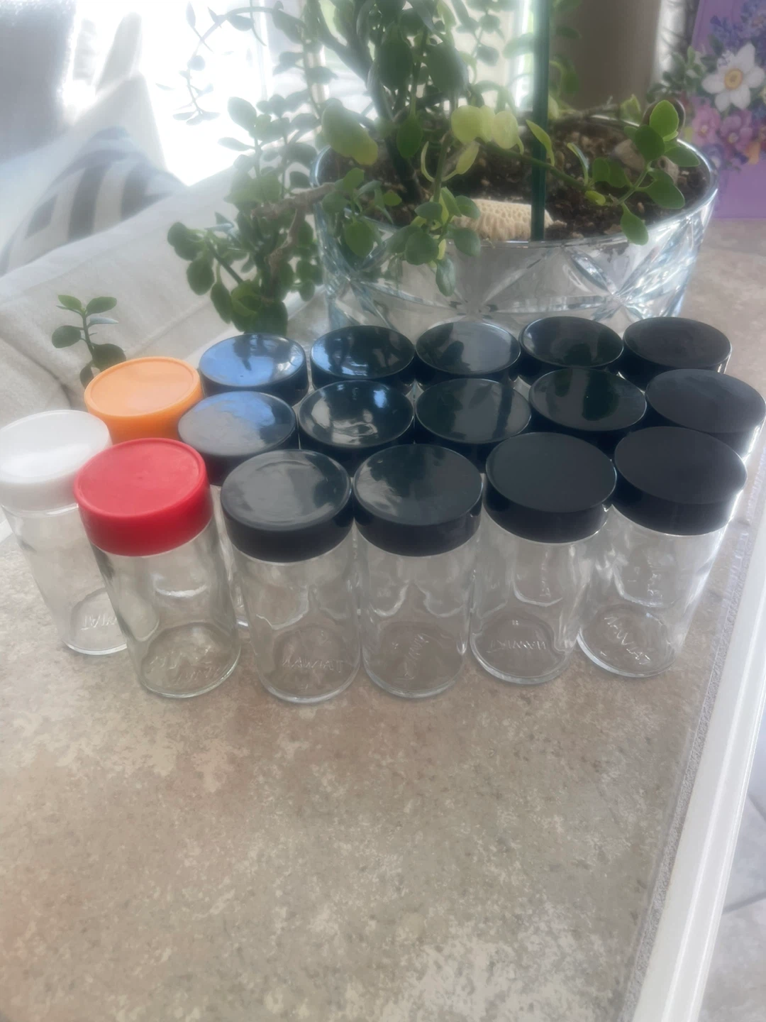 Set of 14 plus 3 Glass Spice Jars with Lids - photo 4