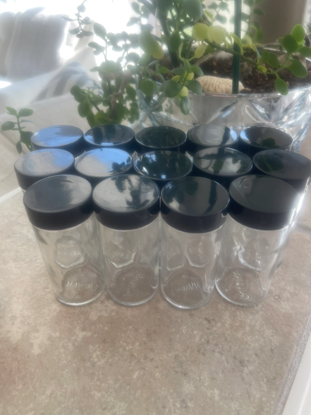 Set of 14 plus 3 Glass Spice Jars with Lids