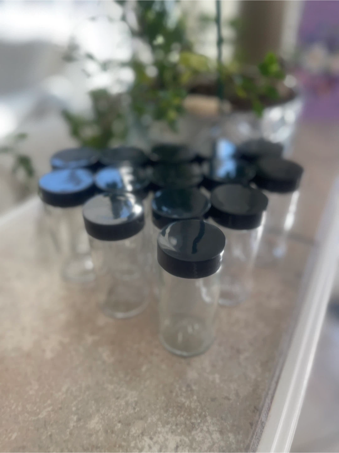 Set of 14 plus 3 Glass Spice Jars with Lids - photo 2