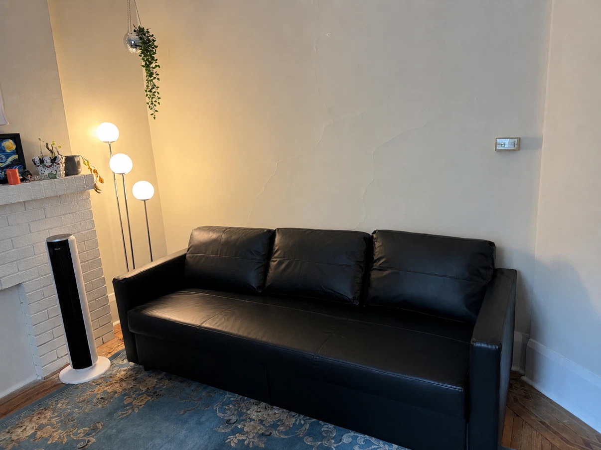 Sofa Bed - IKEA FRIHETEN