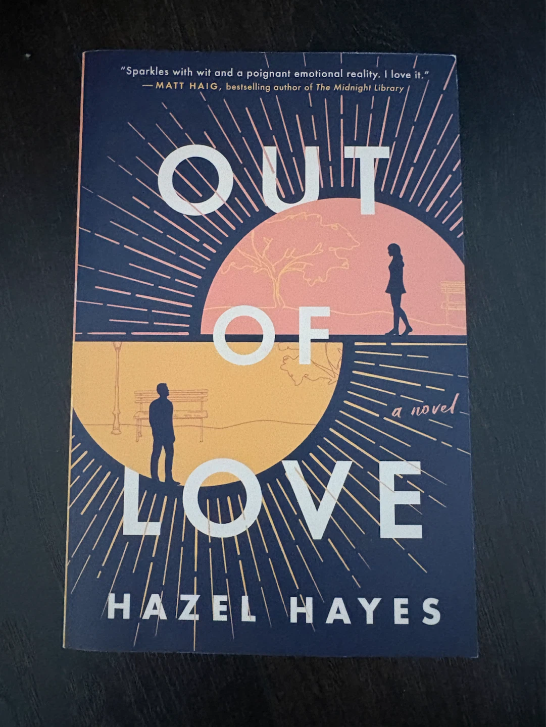 Out of Love novel by Hazel Hayes