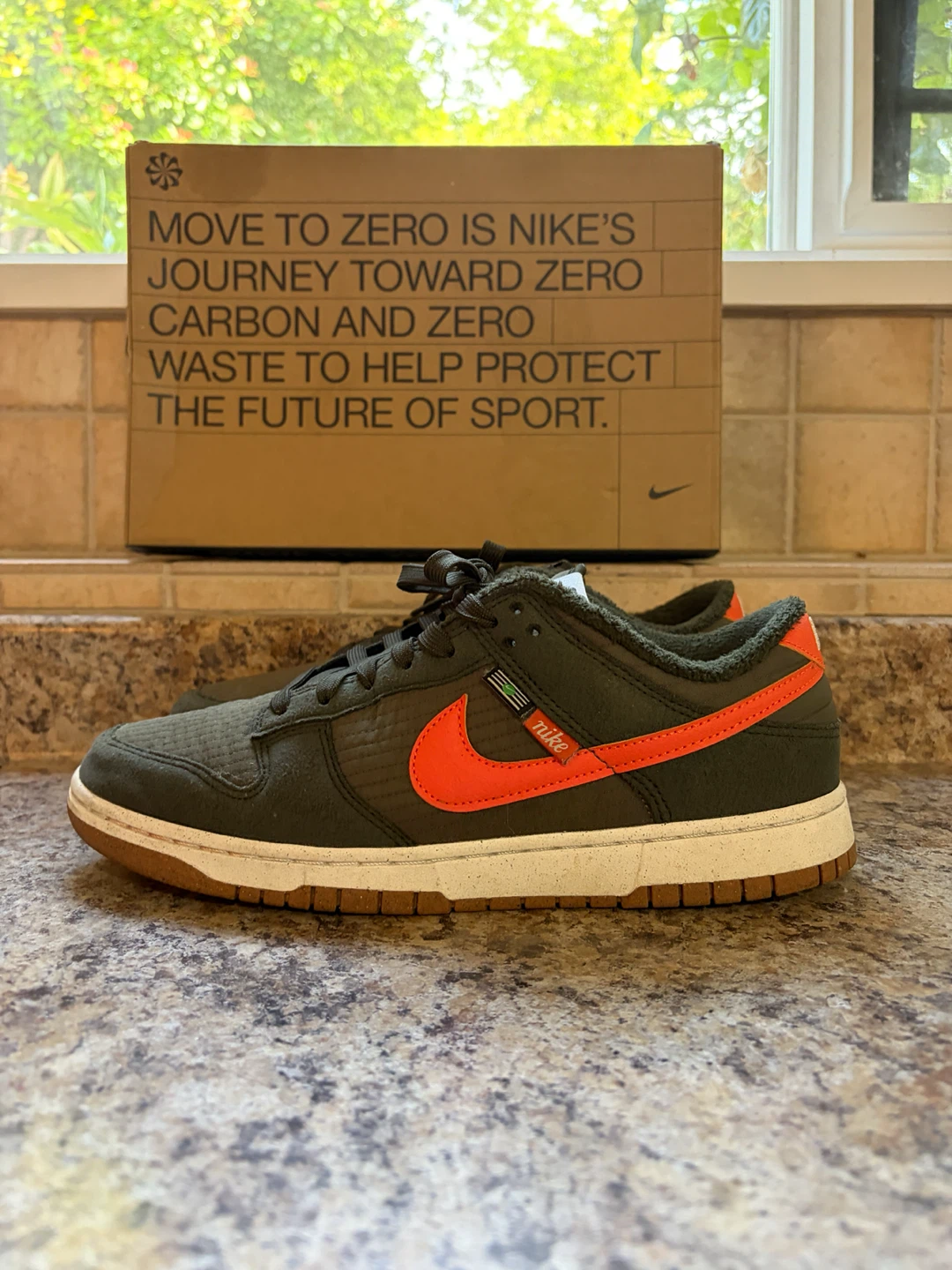 Nike Dunk Low "Move to Zero" Shoes - photo 3
