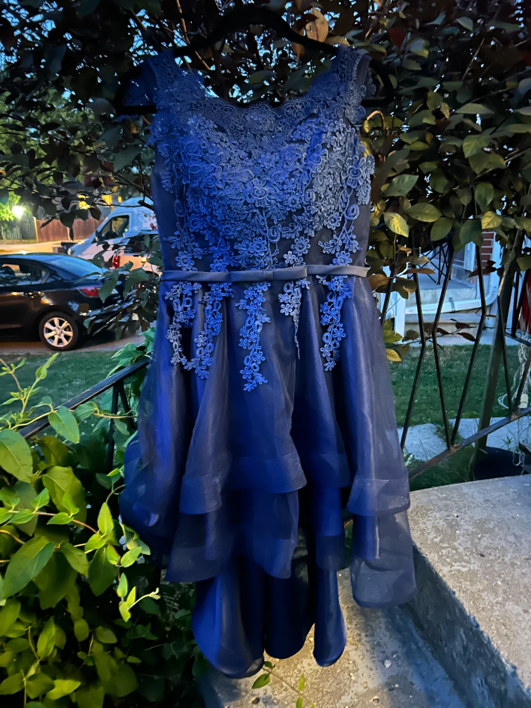 Royal Blue Lace and Tulle Party Dress