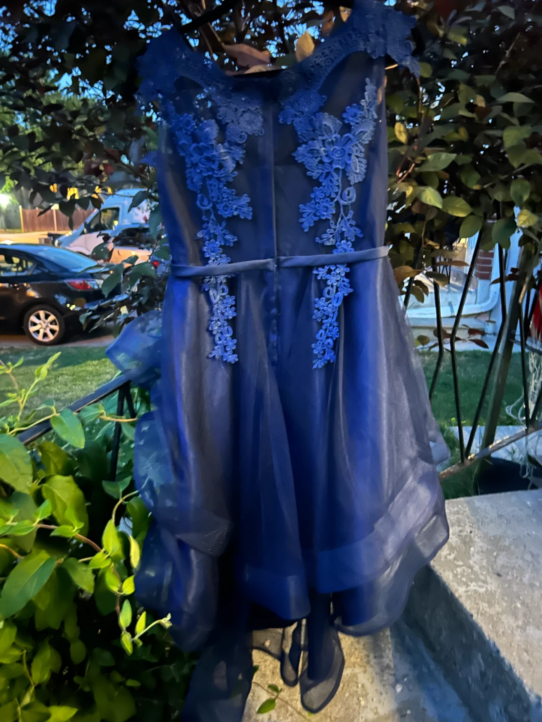 Royal Blue Lace and Tulle Party Dress - photo 3