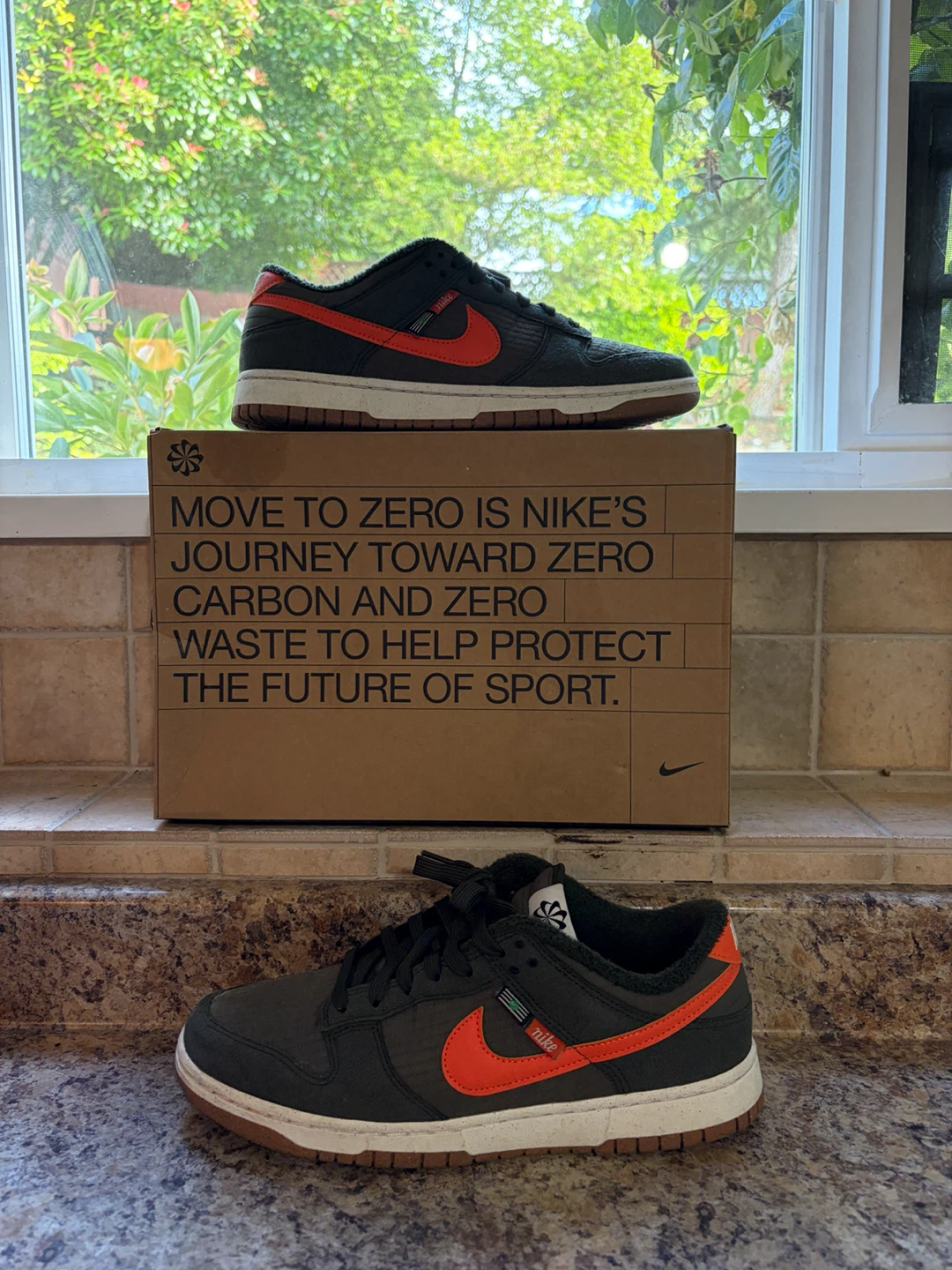 Nike Dunk Low SE "Move to Zero" Shoes