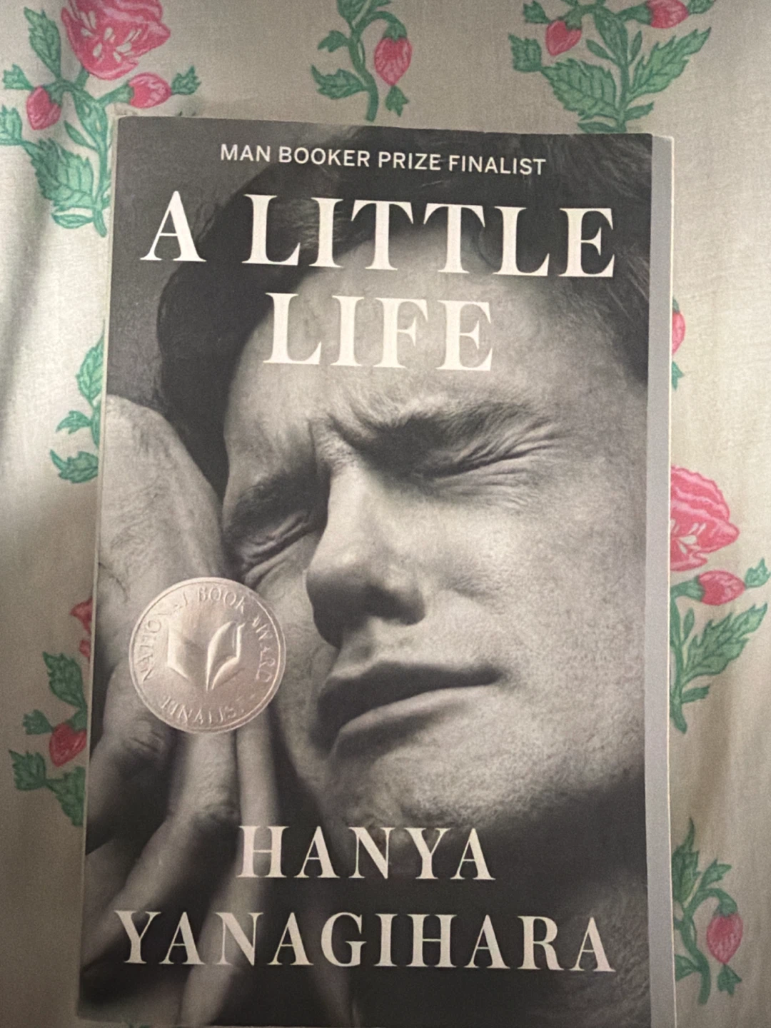 A Little Life by Hanya Yanagihara (Paperback)
