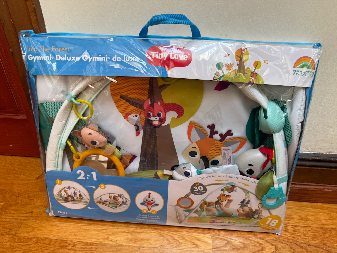 Baby Play Gym/Mat