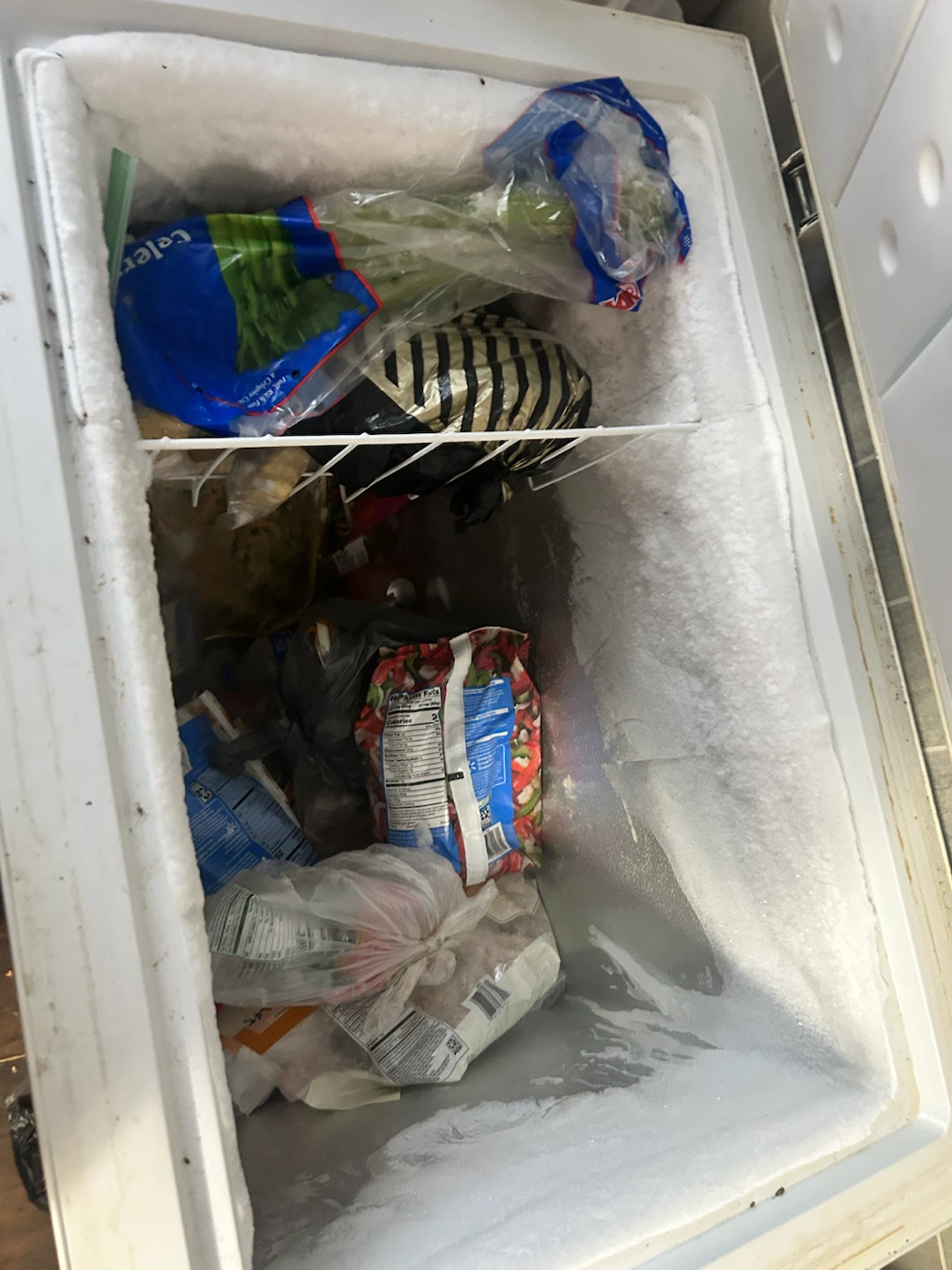 Chest Freezer - photo 2