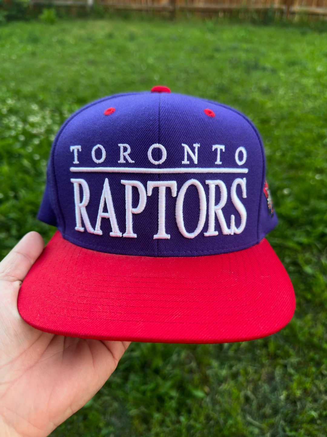 Toronto Raptors Mitchell & Ness Snapback Hat