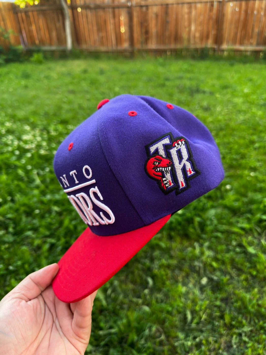 Toronto Raptors Mitchell & Ness Snapback Hat - photo 3