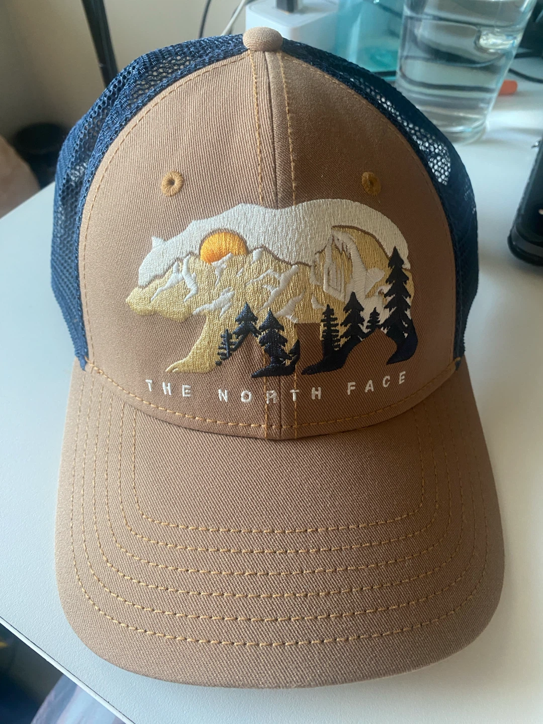 The North Face Trucker Hat - Brown/Blue