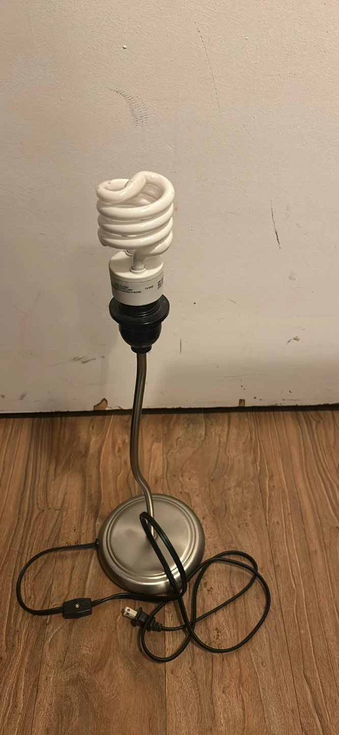 Spiral Bulb Table Lamp - photo 2