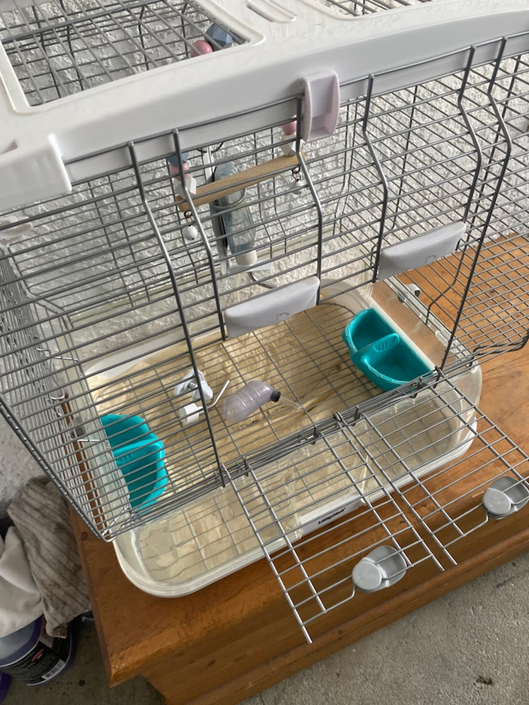 Pet Cage with Accessories - photo 3