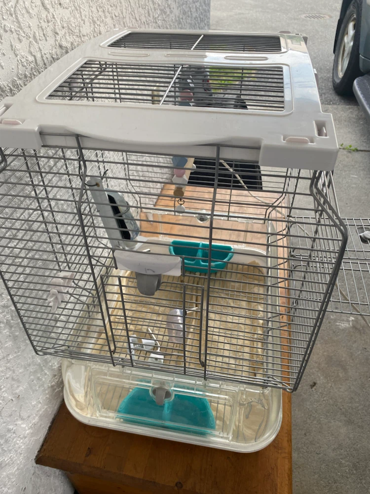 Pet Cage with Accessories - photo 4
