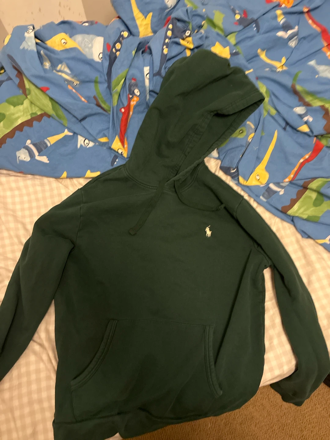 Polo Ralph Lauren Hoodie - Green