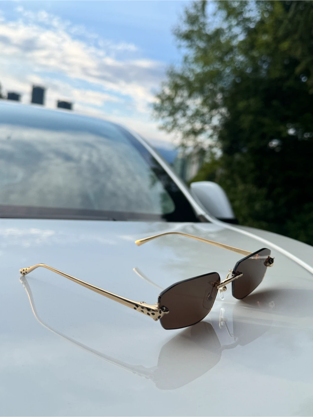 Cartier Sunglasses - Brown Lenses