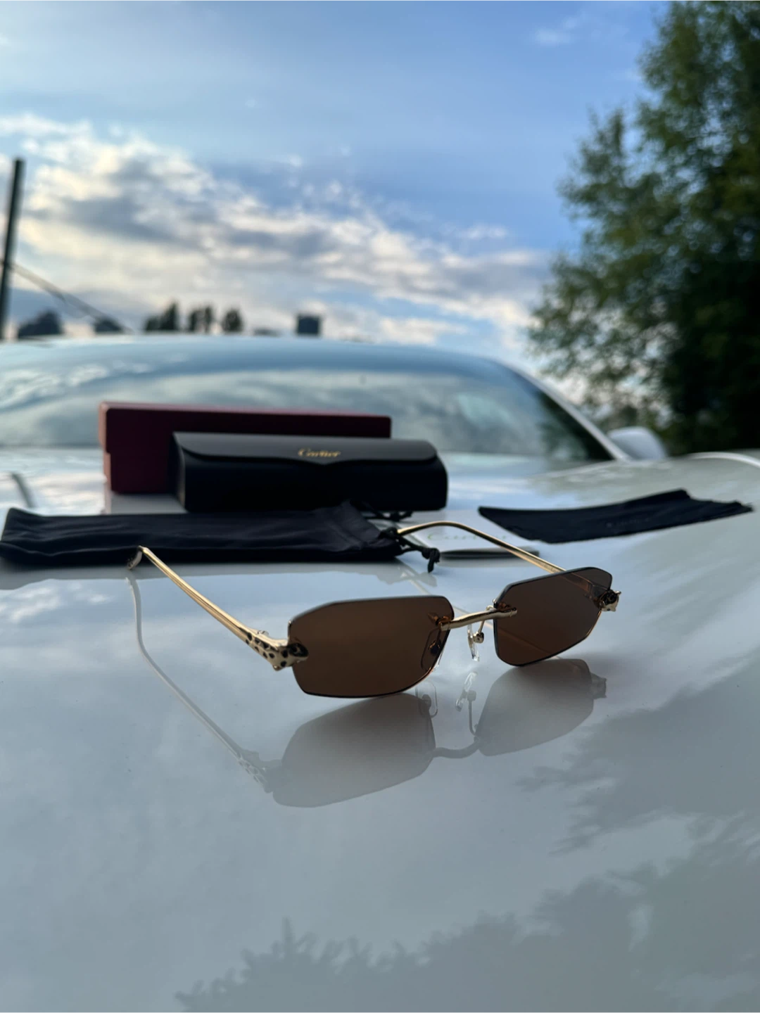 Cartier Sunglasses - Brown Lenses - photo 2