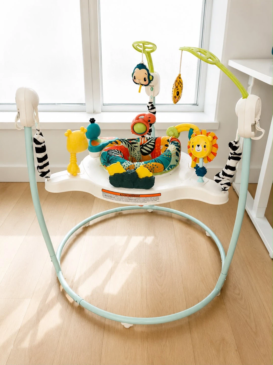 Fisher-Price Jumperoo