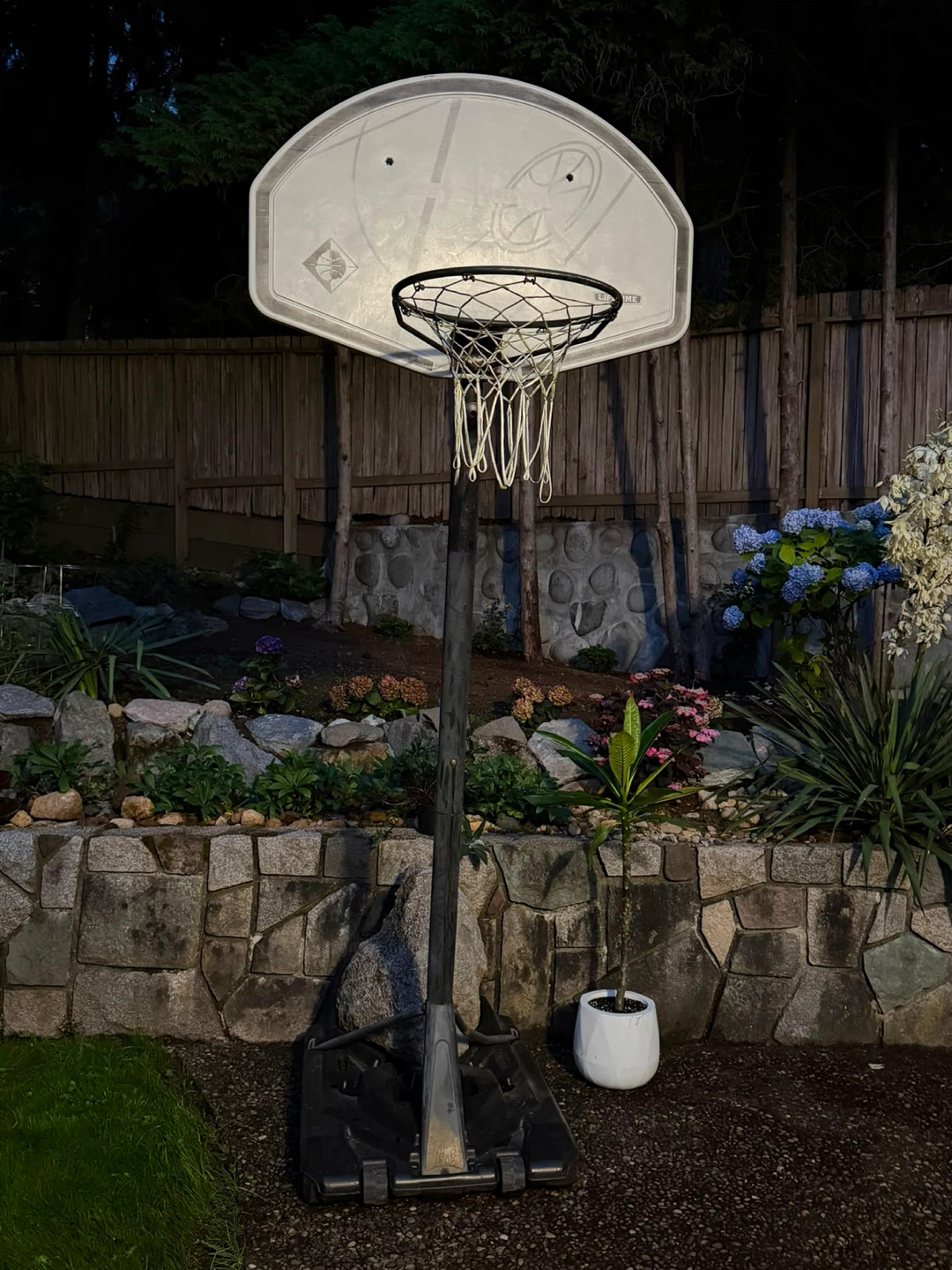 Adjustable Basketball Hoop