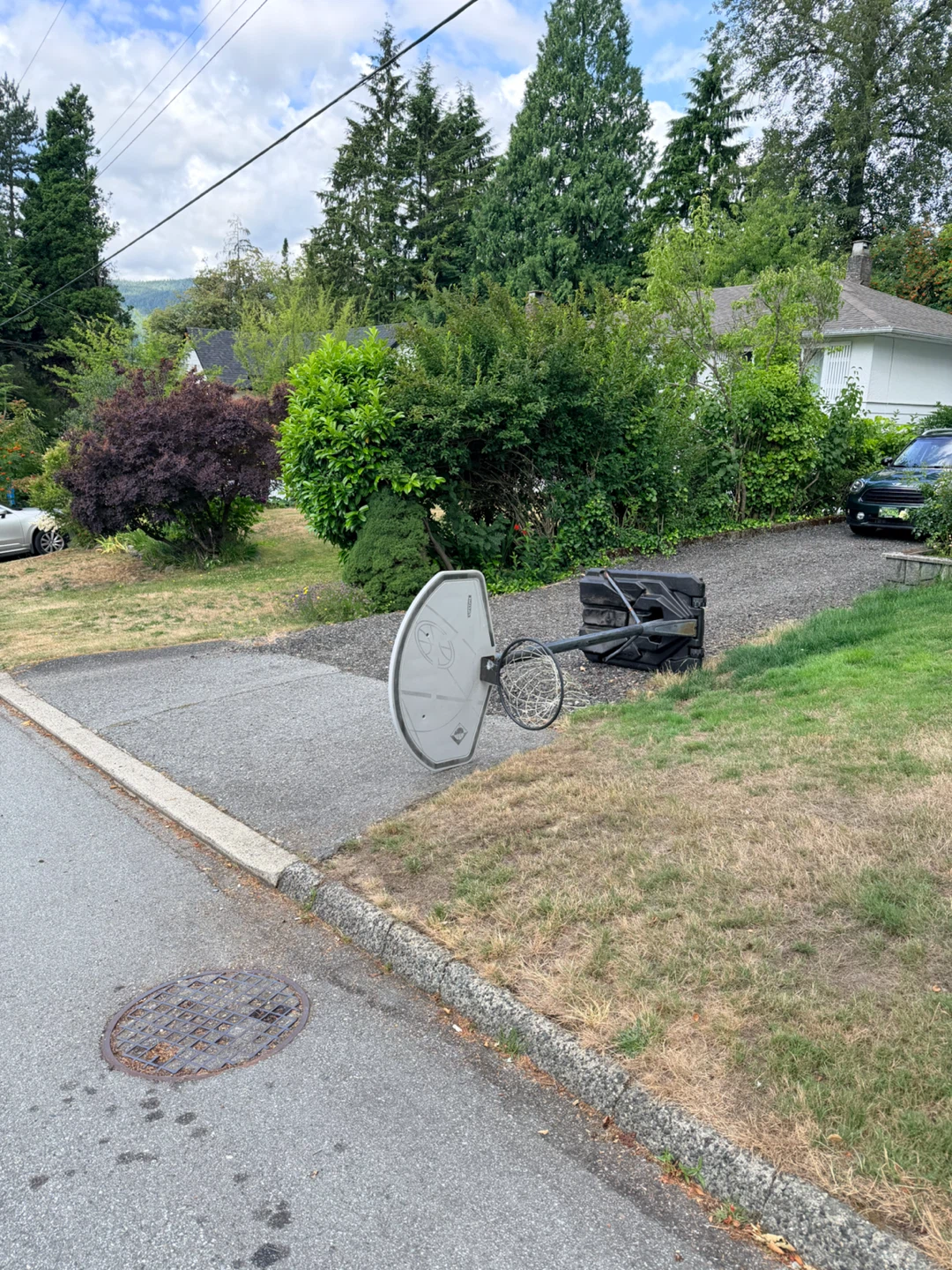Adjustable Basketball Hoop - photo 3