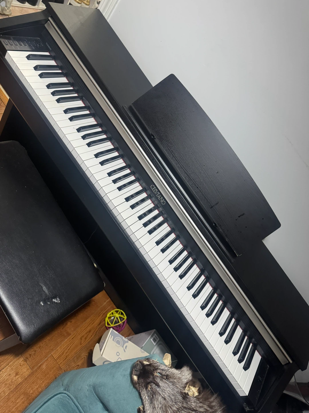 Casio Celviano Digital Piano - photo 5