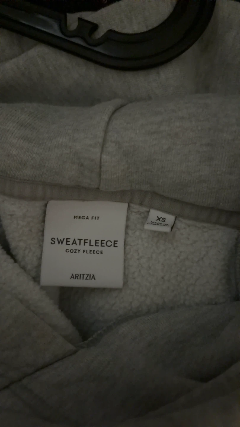 Aritzia Mega Fit Sweatfleece Hoodie