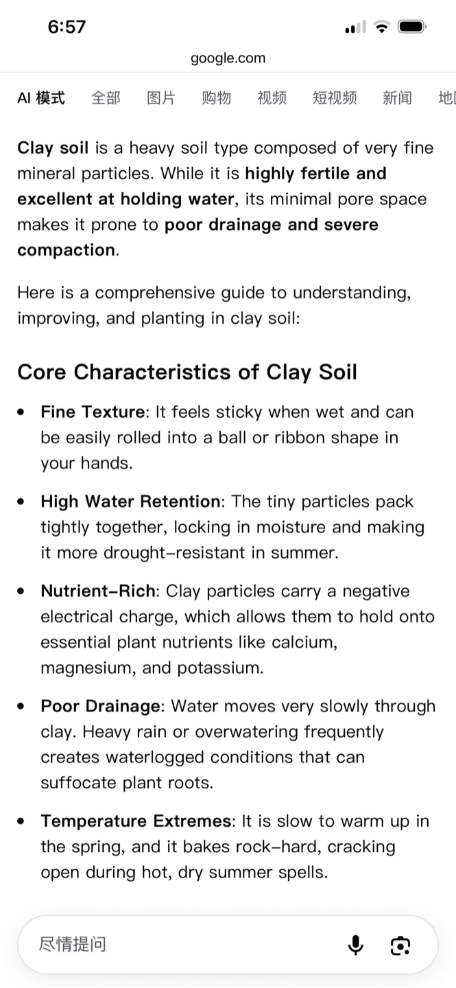 Clay Soil