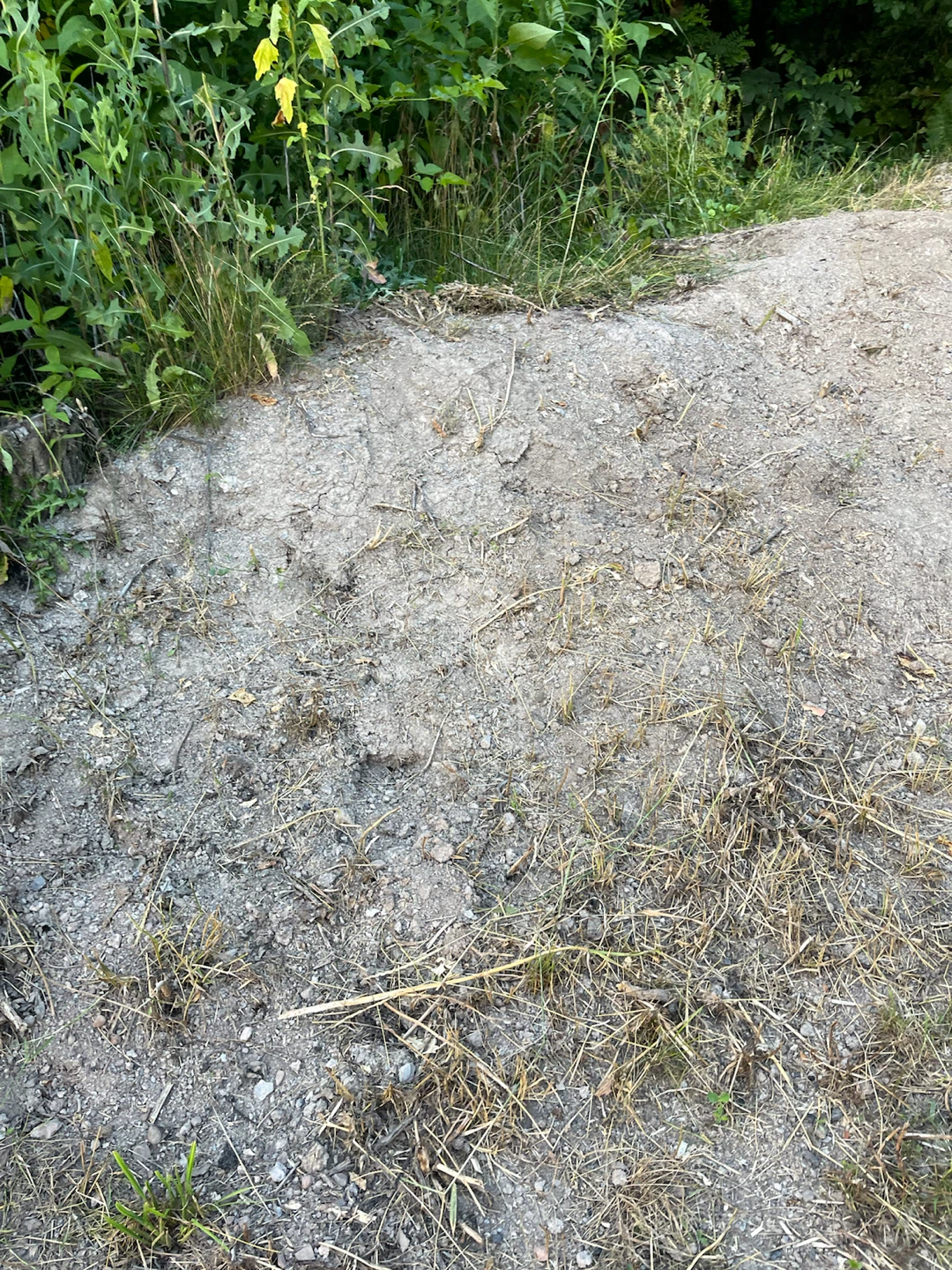 Clay Soil - photo 2