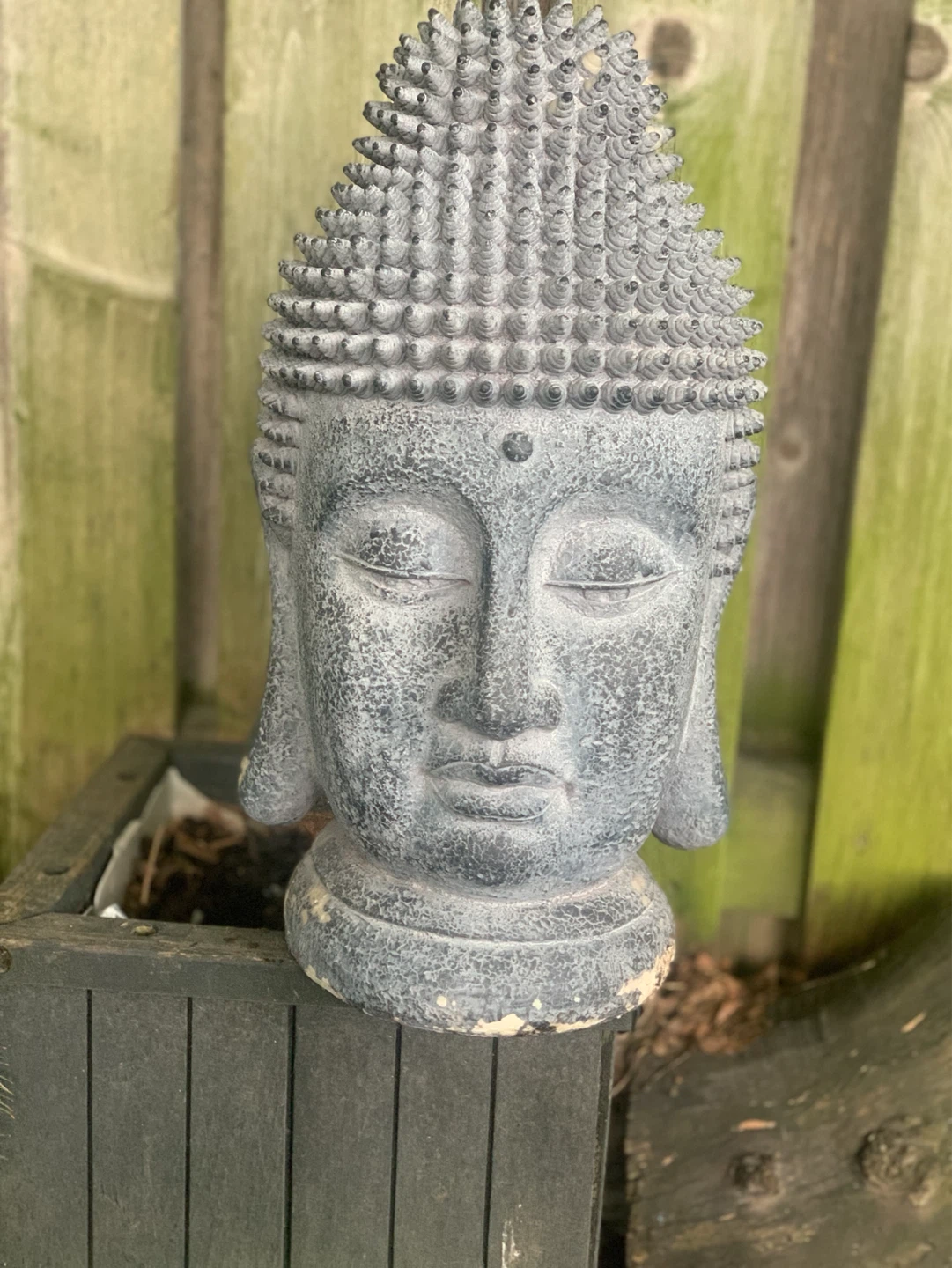 Buddha Head Statue