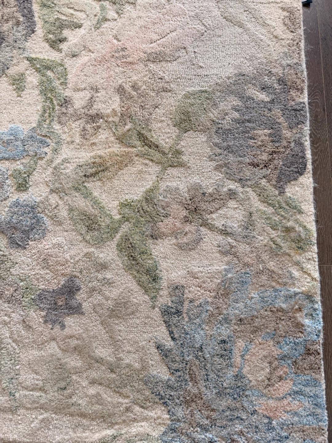 Floral Area Rug 5x8 (152 x 244) - photo 2