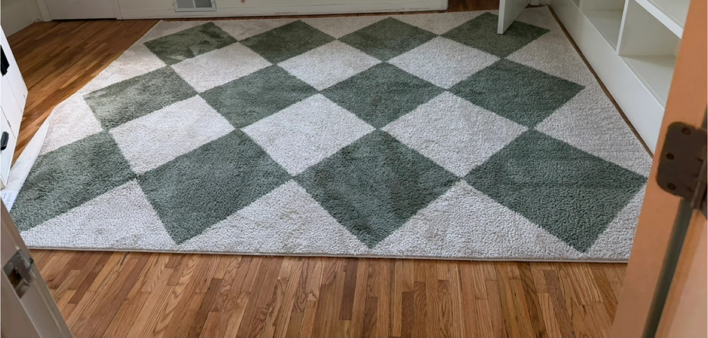 9x12 Plush area rug