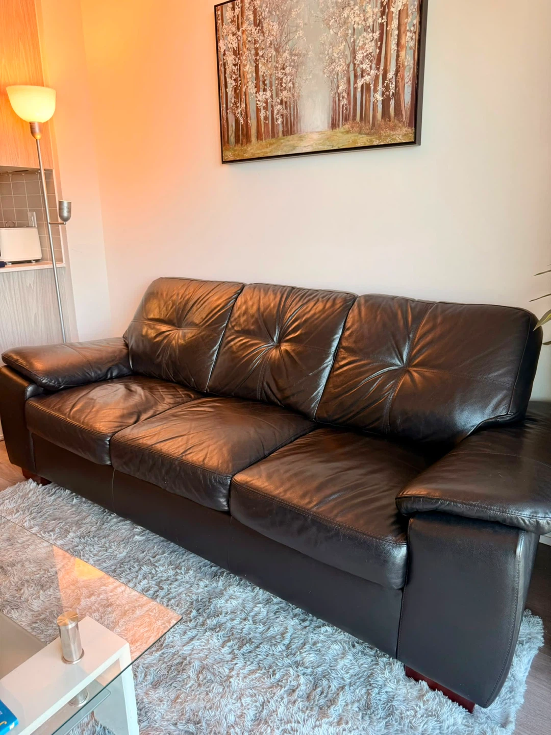 Move out sale! Canadian Leather 3-Seater Sofa