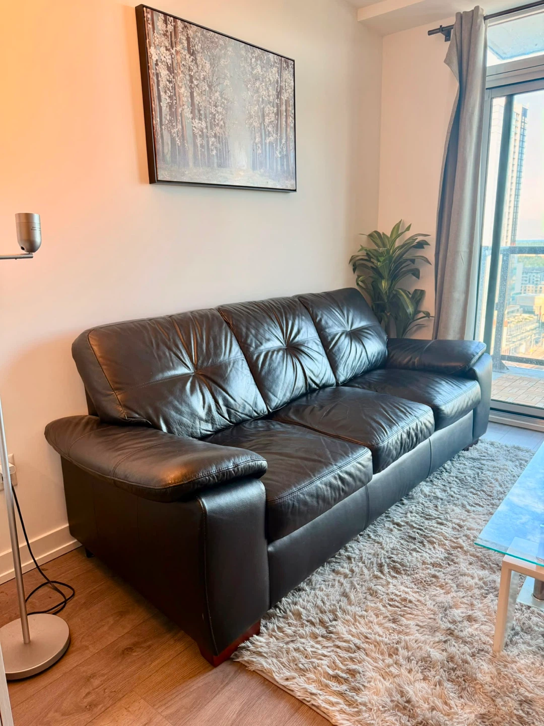 Move out sale! Canadian Leather 3-Seater Sofa - photo 2