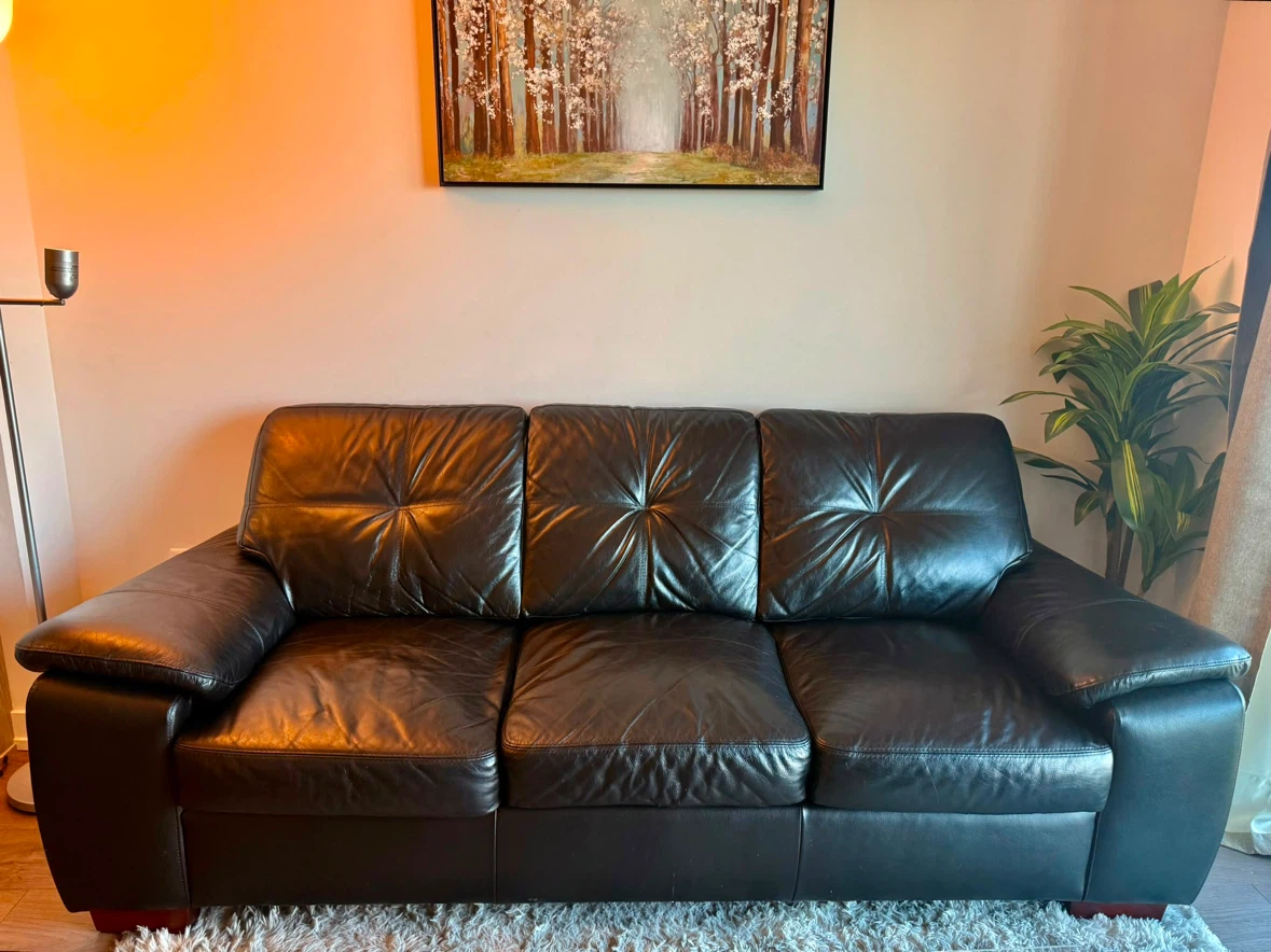 Move out sale! Canadian Leather 3-Seater Sofa - photo 3