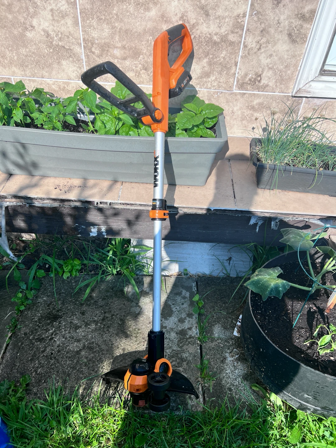 Worx Cordless String Trimmer