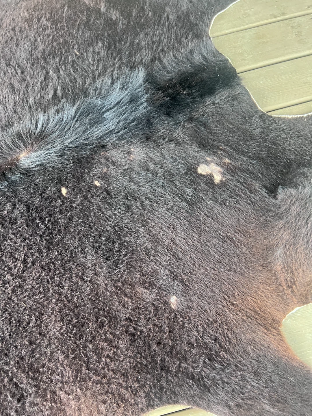 Cowhide - photo 5