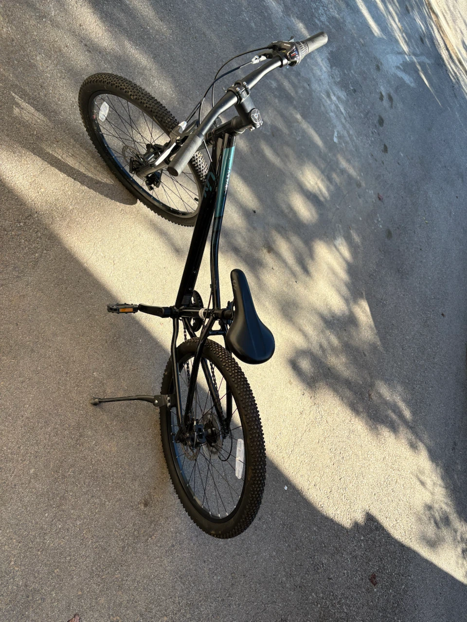 Liv Black Mountain Bike