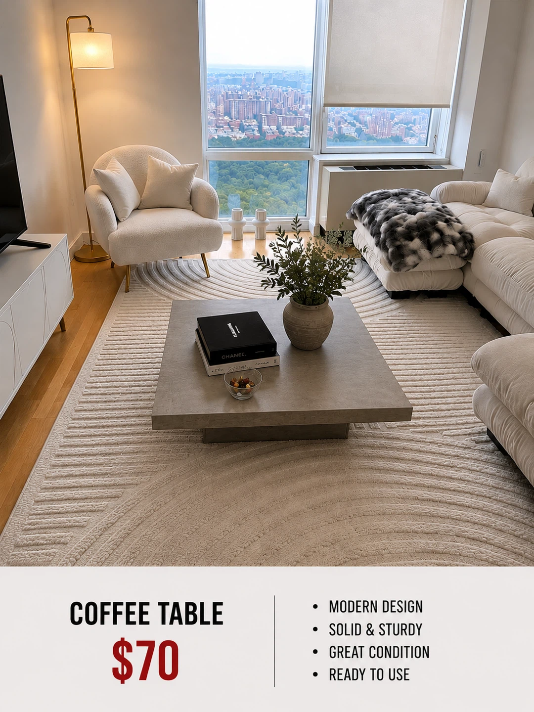 Modern Coffee Table - $70