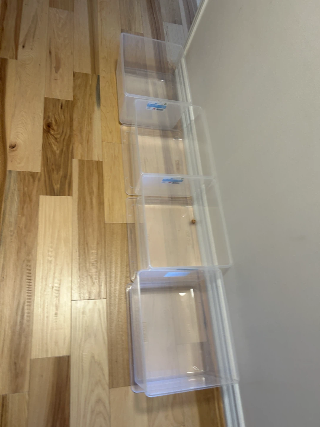 Set of 12 Clear Storage Bins