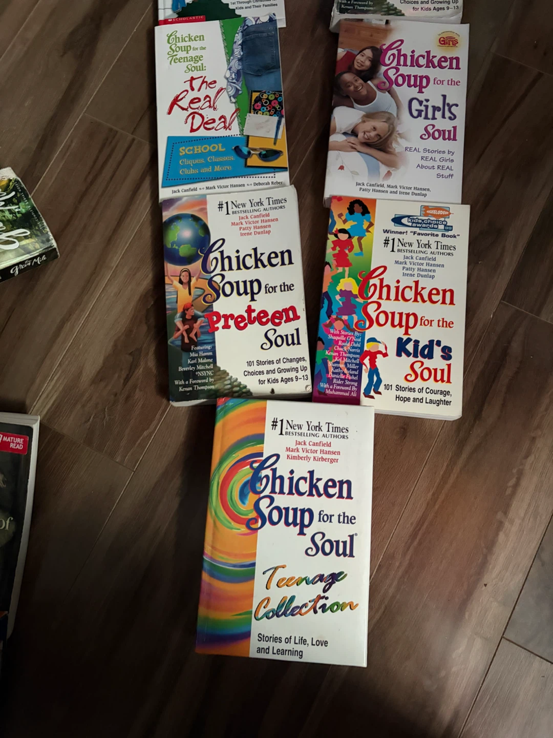 Chicken Soup for the Soul Book Collection - photo 3