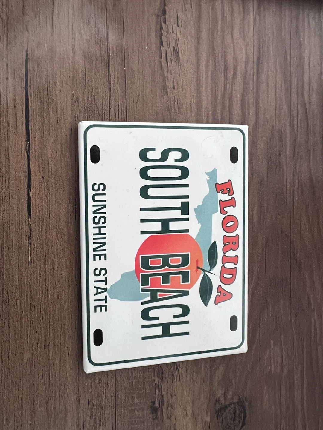 South Beach Florida Souvenir Magnet