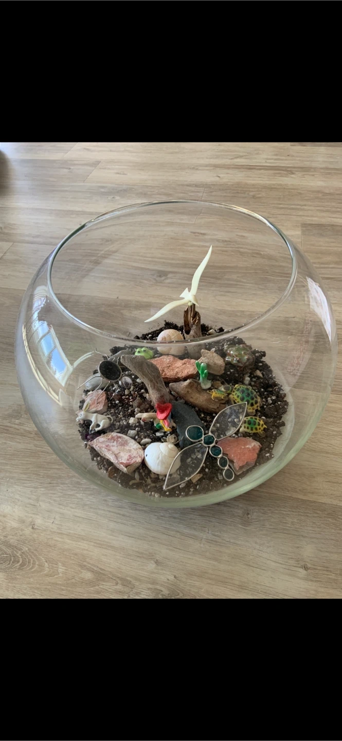 Glass Terrarium Bowl with Decorative Elements
