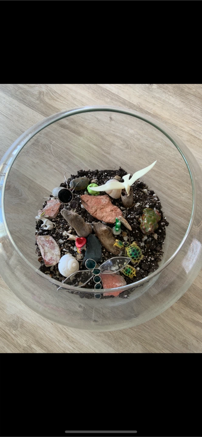 Glass Terrarium Bowl with Decorative Elements - photo 2