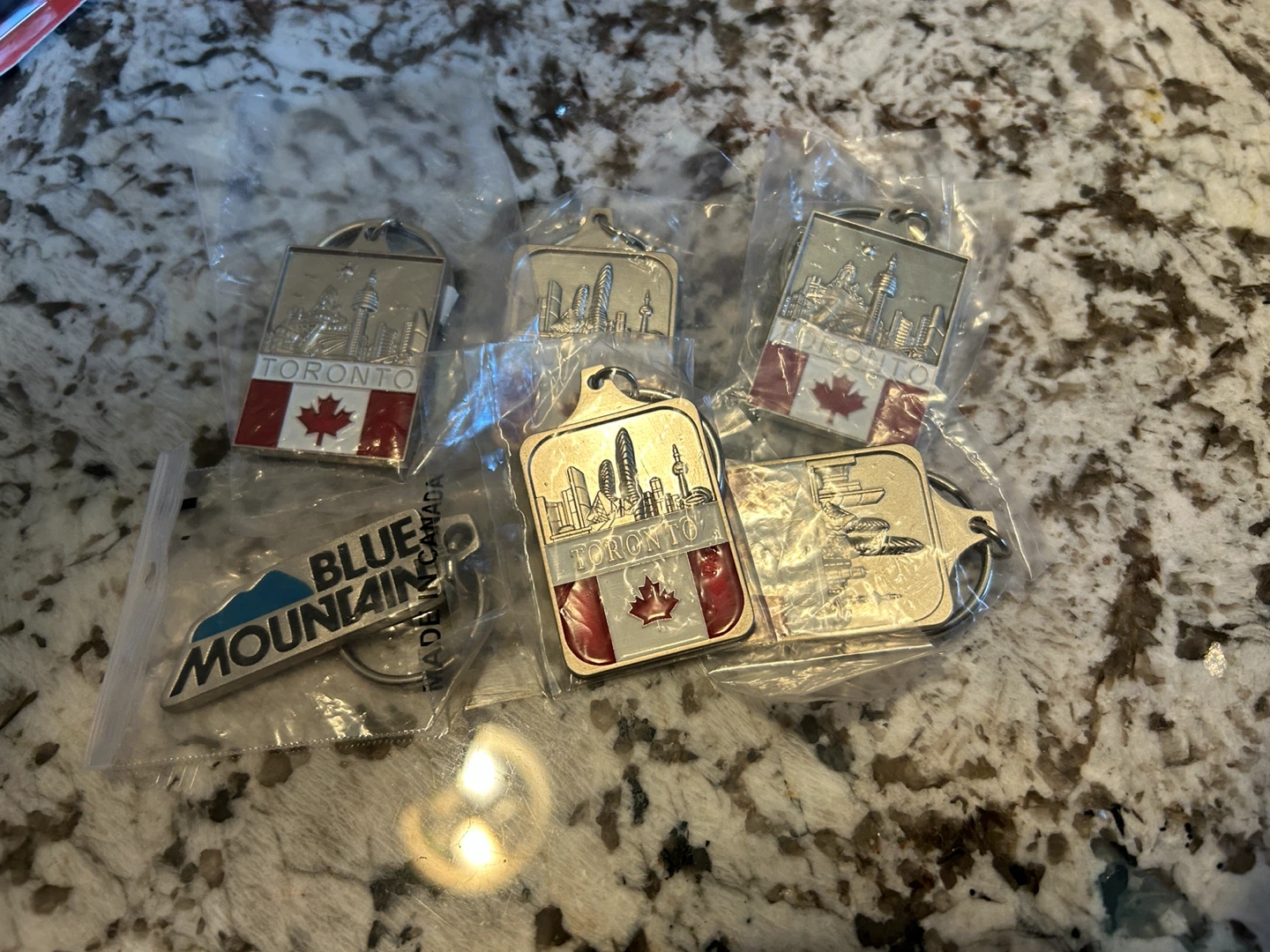 Toronto Skyline & Canadian Flag Keychains (Set of 4)