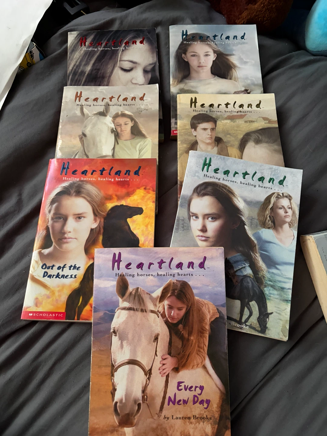 Heartland Book Series Collection - photo 2