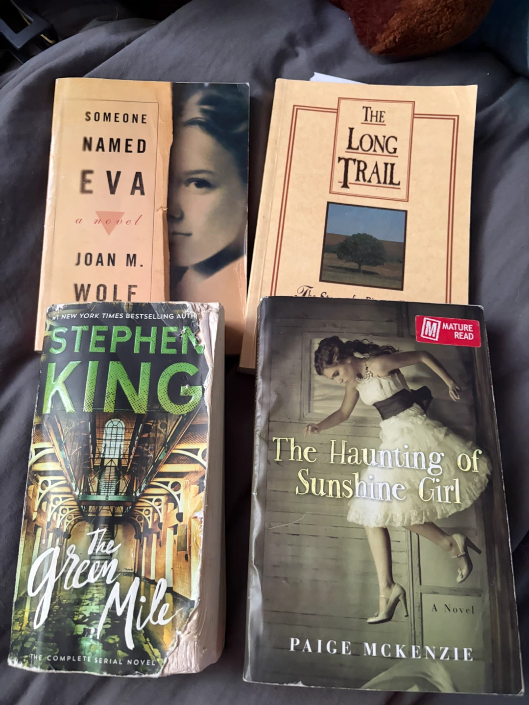 Mature Reads Assorted Books