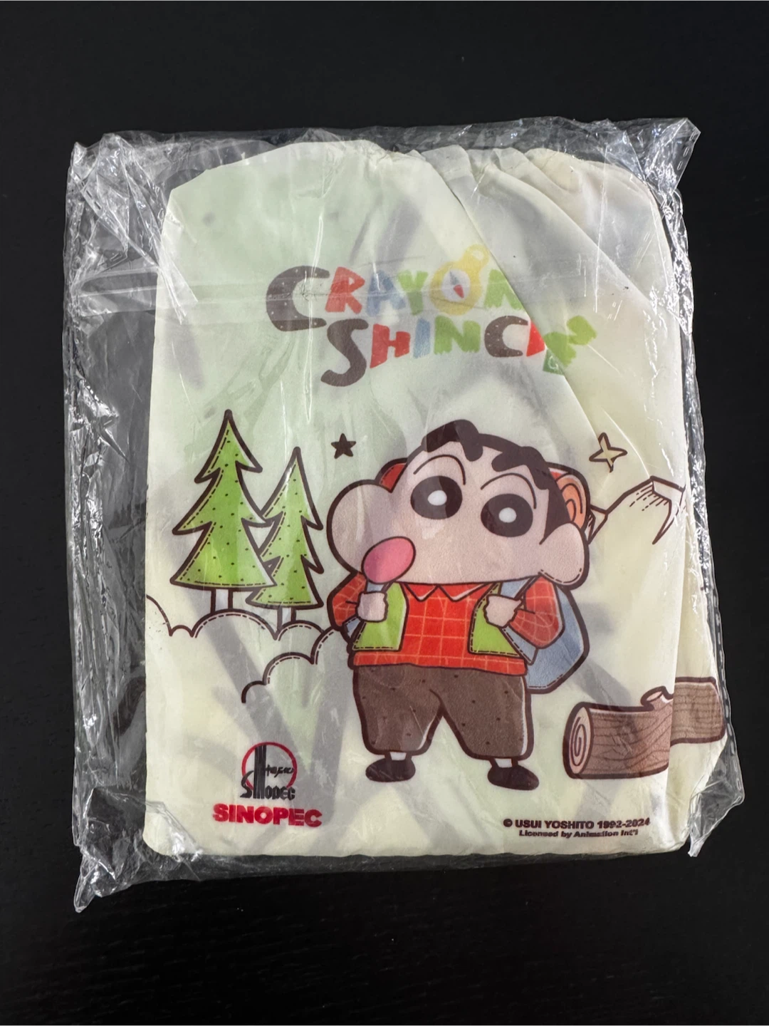 Crayon Shinchan Camping Picnic Mat